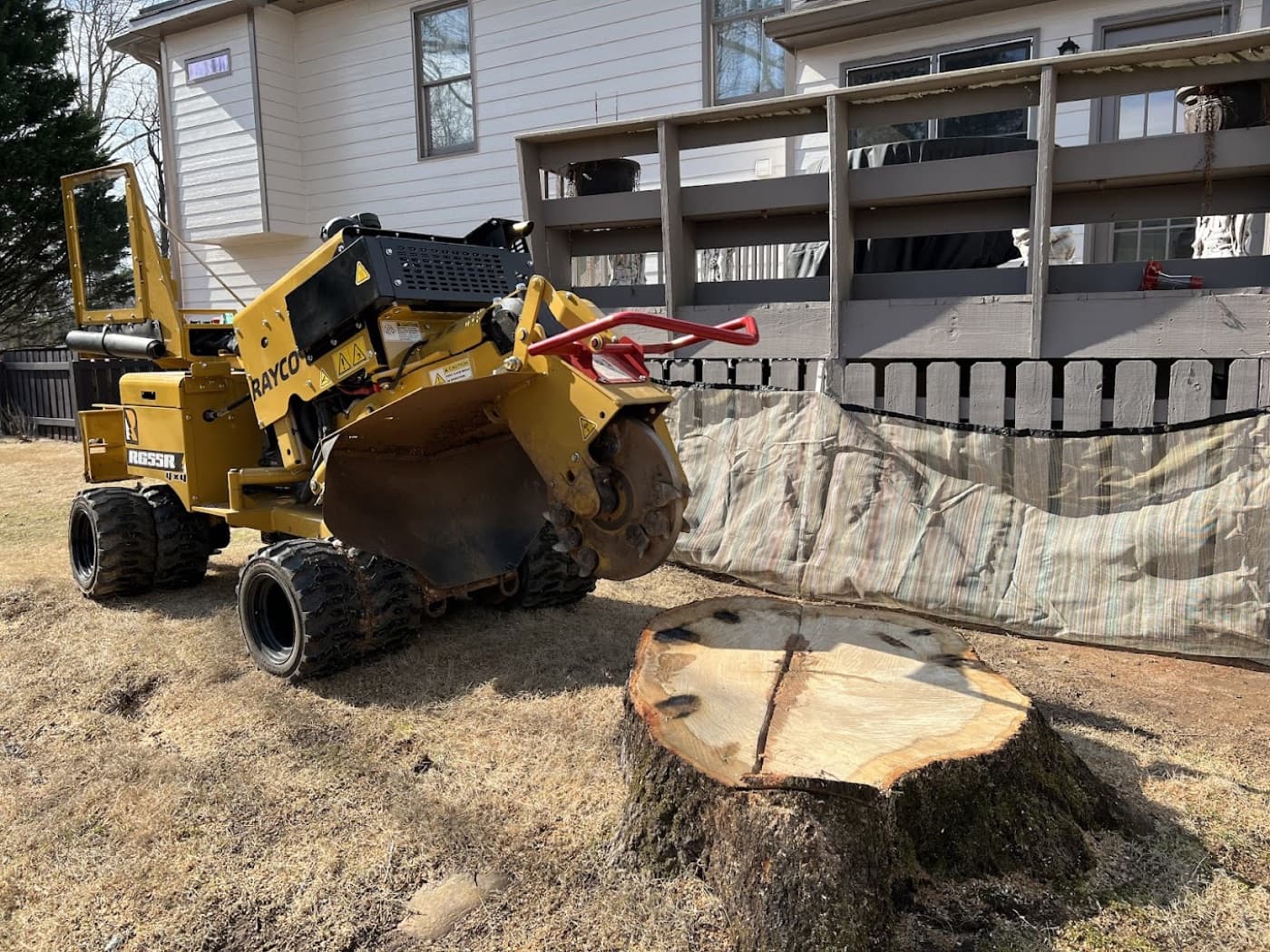 5 Signs It's Time to Grind That Stump